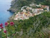 cimg0237