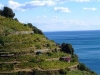 5_terre-4