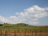 panorama1